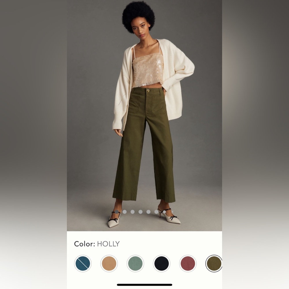 ANTHROPOLOGIE Colette Wide Leg Pants 31